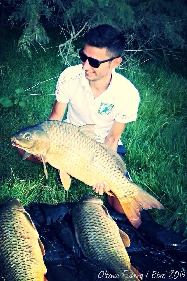 2013 - 2 - image11111111111.jpg